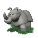 Gif animé rhinocéros
